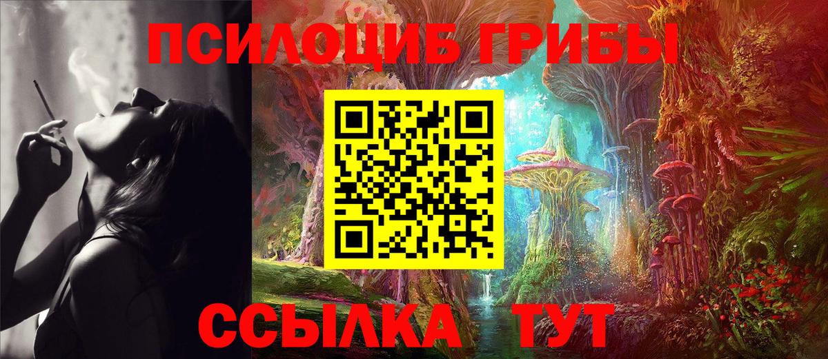 Псилоцибиновые грибы Cubensis Кропоткин
