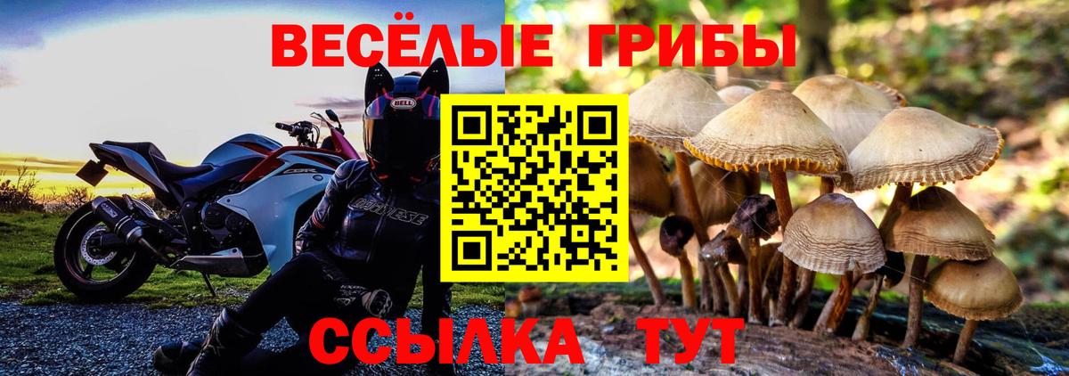 Галлюциногенные грибы Psilocybine cubensis  закладки  Кропоткин  Псилоцибиновые грибы Psilocybe  Вход с VPN 